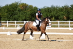 SBM_012548