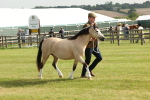SBM_00552