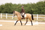 SBM_006443