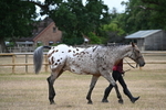 WJ6_7819