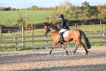 BPP_9813