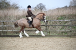 SBM_006089