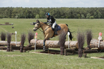 BVHT 140517  IXC -550