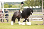 SBM_06090