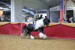 SBM_06369