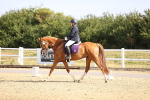 SBM_008588