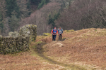 Loughrigg-962