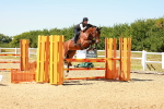 SBM_006913
