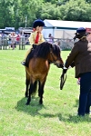 SBM_05896