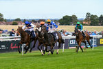 160926-Race 2-Northern Viola-9709