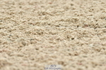 230701A-123842-06131