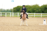 SBM_006433