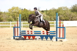 SBM_001634