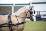 SBM_05668