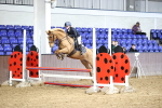 SBM_001466_Class 9 - Pony British Novice - 80cm