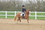 SBM_001182