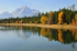 Shoreline Reflections
