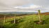 4058 Corndon Hill, towards Roundton
