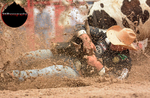 2018 Cheyenne Frontier Days portfolio
