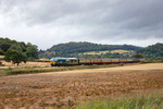 Hymek 50 Event