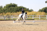 SBM_006622