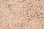 260923B-131954-00350