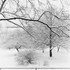 Wintr Morning, Pennsylvania, 2025