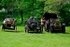 HorseCarr26-331