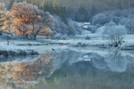 The Merging Of The Seasons