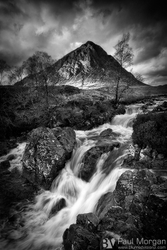 Glencoe Gold II Mono