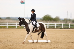 SBM_006841