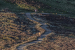 Lords Seat-18
