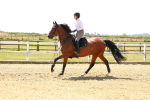 SBM_001553