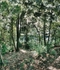 Shelter,  Walden Pond