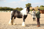 SBM_08581