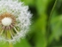 P90800980173