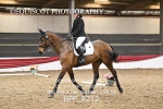 BPP_8212