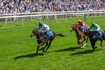 230526-Race 2-Possessive-0361