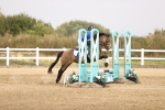 SBM_000987