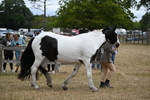 WJ6_8374
