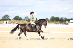 SBM_15798