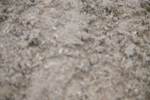 SBM_003023