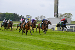 Race 6 4.47pm Sky Bet Club Handicap portfolio