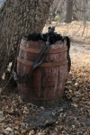 Barrel & Reins