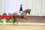 SBM_003984