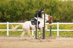 SBM_004092