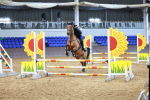 SBM_000942