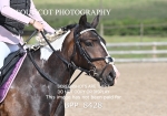 BPP_8428