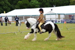 SBM_02635