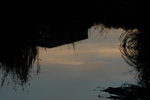 Upside down
